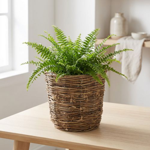 Plantekurv med slyngplantelignende design, dekorativ for blomsterpotter og borddekorasjoner | Floristik24.no
