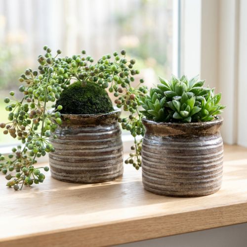 Dekorativ keramikkplante, metallisk brun/grå, 10,5 x 10 cm, 2 stk. | Floristik24.no