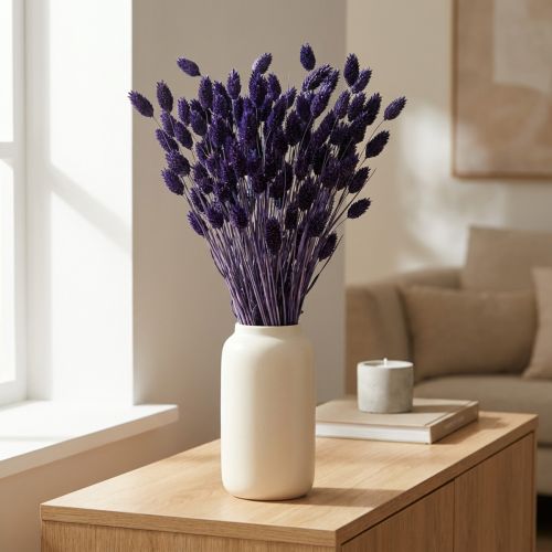 Phalaris-fiolett tørket dekorativt gress 50-55 cm 100 g | Floristik24.no
