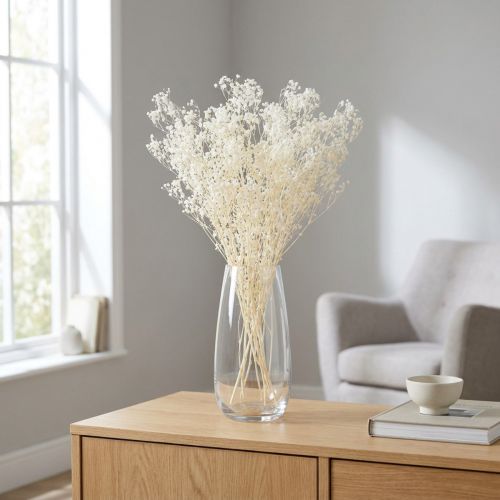 Gypsophila hvittørket gress dekorasjonskrem 65-70cm 100g | Floristik24.no