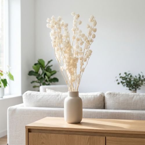 gjenstander Physalis tørket bleket lanterneblomsterdekorasjon Nicandra 75-80 cm 100 g