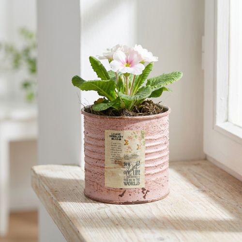 Blomsterpotte dekorativ blikk rund antikk rose metallplanter Ø8cm H7,5cm | Floristik24.no
