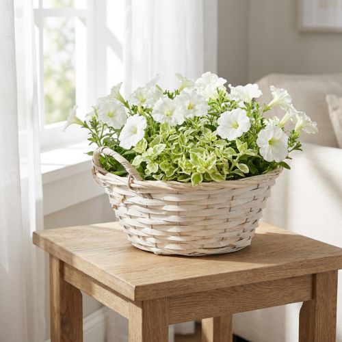 Kurv med håndtak, sponkurv, plantekurv, hvit, vintage, dekorativ, Ø35 cm | Floristik24.no