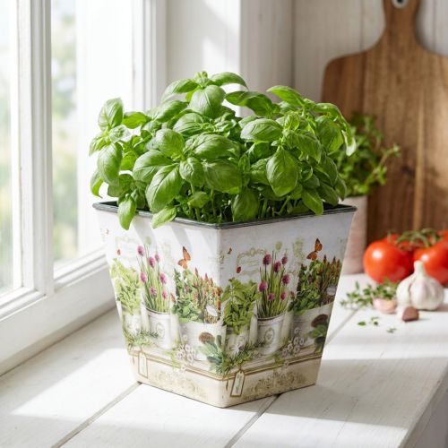 Urtepotte, plantekasse med motiv, plantekasse H13cm B13,5cm | Floristik24.no