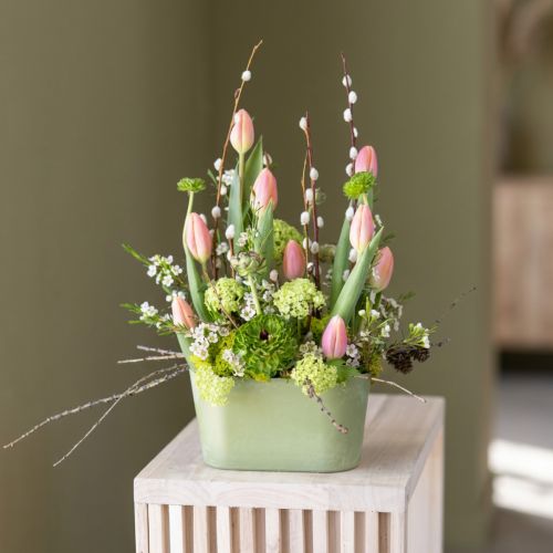Planteskål oval grønn skål plast 20×10×11 cm 3 stk | Floristik24.no