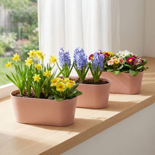 Planteskål oval pynteskål