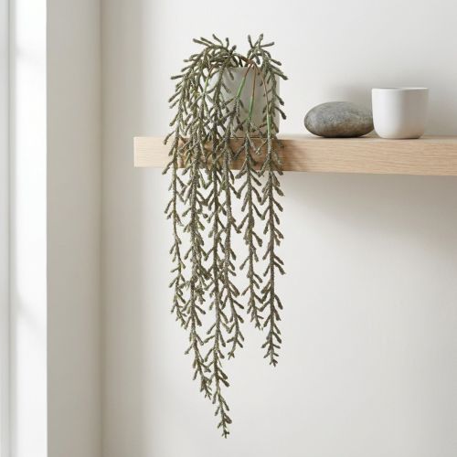 Sukkulent tendril hengende grønn, brons metallic 114cm | Floristik24.no