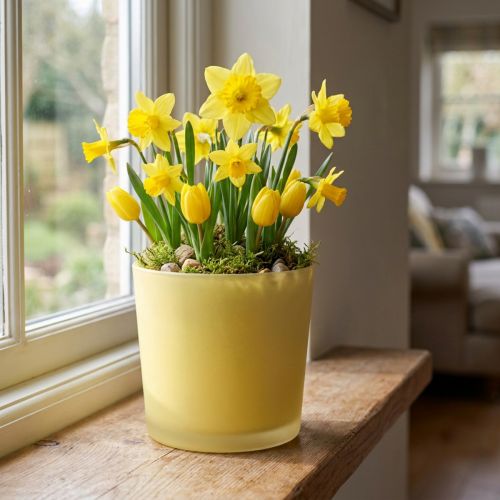 Glass blomsterpotte gul dekorativ glassbalje Ø11,5cm H11cm | Floristik24.no