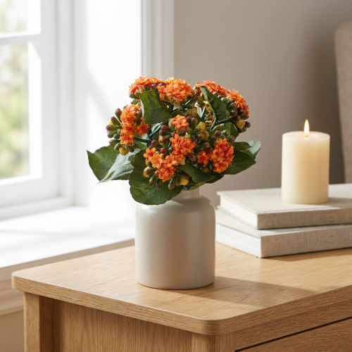 Flaming Käthchen Kalanchoe kunstig appelsin 24cm | Floristik24.no