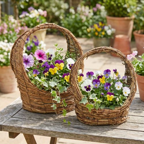 Plantekurv med håndtak, slyngplantedesign, L18/22 cm, sett med 2 | Floristik24.no