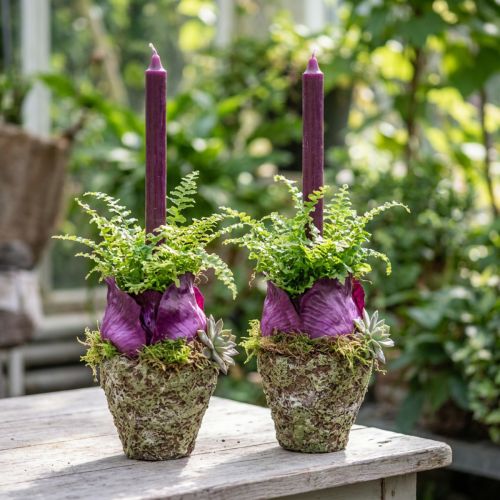Blomsterpotte rustikk skogslook Ø12,5 cm H12 cm 2 stk | Floristik24.no