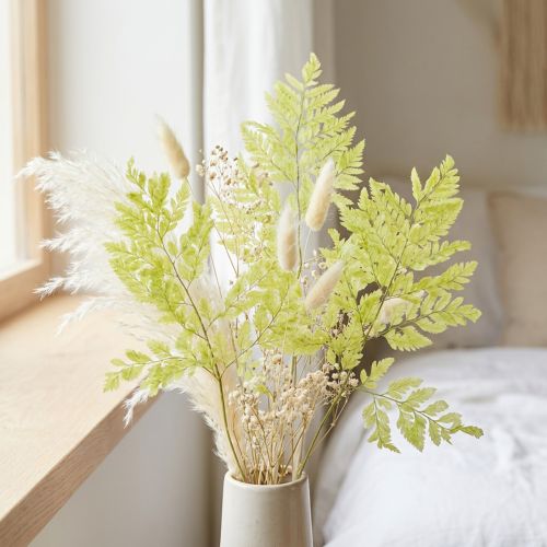 Bregner: Bevart, høykvalitets naturmateriale for langvarige dekorasjonsprosjekter, 40 cm, 10 stk. | Floristik24.no