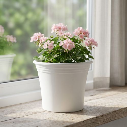 Plastgryte “Irys” hvit Ø25cm H21cm 1 stk | Floristik24.no