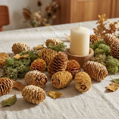 Sabulosum kjegler krem 500g | Floristik24.no