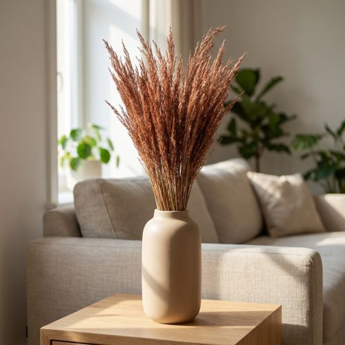 Rødt bøyd gress Agrostis Tørt gress Rødbrun 65cm 80g | Floristik24.no