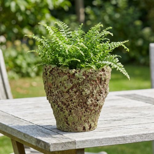 Blomsterpotte rustikk moseutseende Ø17 cm H16,5 cm | Floristik24.no