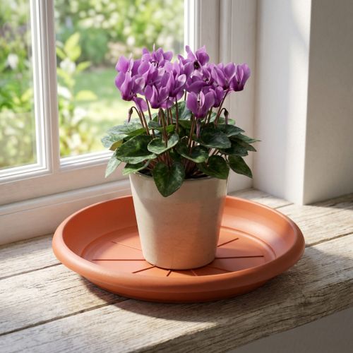 "Linda" tallerken Ø18cm terrakotta | Floristik24.no