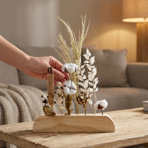 Tørkede blomster blomsterstang Tørkede blomster bartre 25cm | Floristik24.no