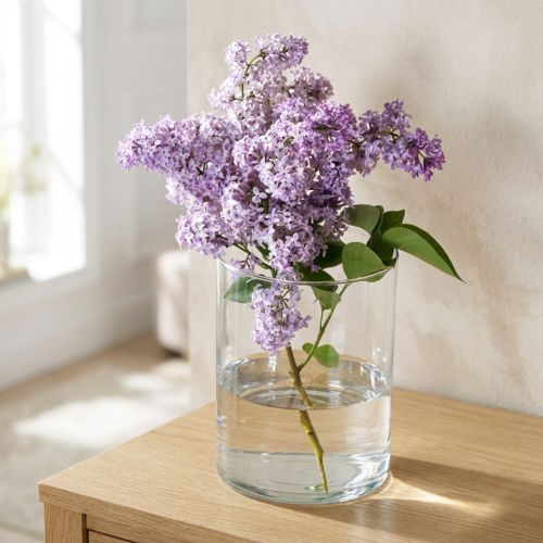 Glassvase klar sylindrisk Ø12cm H20cm | Floristik24.no