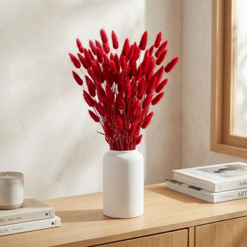 Kaninhalegress (Lagurus) Tørket rødt 60 cm 50 g tørket blomsterdekorasjon | Floristik24.no