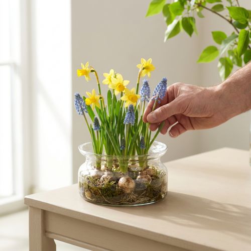 Glassskål dekorativ skål glass flytende skål Ø16cm H8cm | Floristik24.no