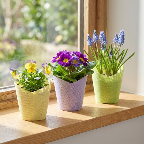 Plantekrukke vevd papir grønn gul lilla Ø9cm H18cm 9 stk | Floristik24.no