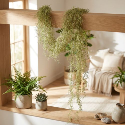 Tillandsia dekorativ hengende Tillandsia kunstgrønn hvit 180cm | Floristik24.no