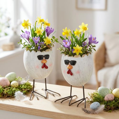 Mini planter egg kylling med
