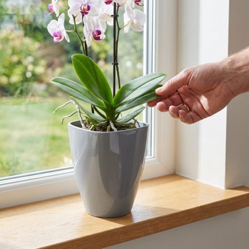Orkidepotte blank Ø12,5cm grå 1 stk | Floristik24.no