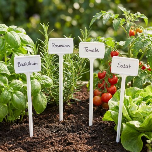Planteetikett for skifte 40cm 10stk. | Floristik24.no