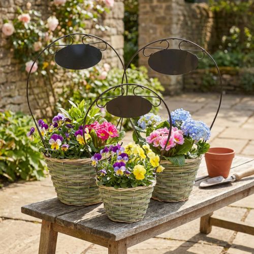 Blomsterkurv med håndtak og metallskilt, Ø23/20/17 cm, sett med 3. | Floristik24.no
