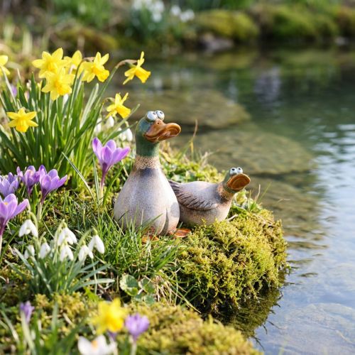 Ducks dekorative keramiske spring drake brun grønn L15cm 2 stk | Floristik24.no