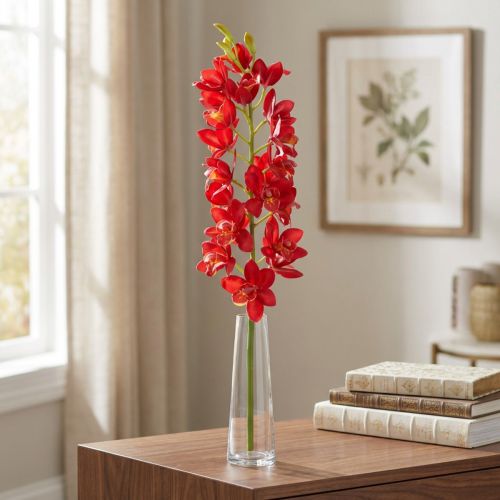 Orchid Cymbidium Red 78cm | Floristik24.no