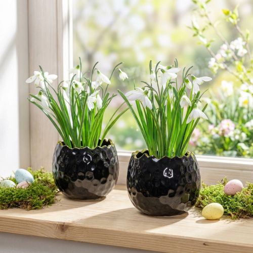 Eggformet blomsterpotte i keramikk, svart, Ø10 cm, H8 cm, 2 stk. | Floristik24.no