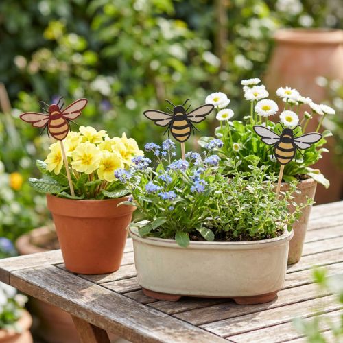 Biplugg treblomstplugg naturfarget 34cm 12stk | Floristik24.no
