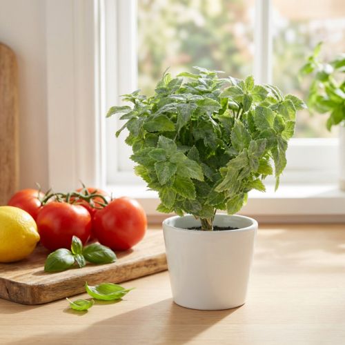 Mint kunstgrønn 25cm 12 stk | Floristik24.no
