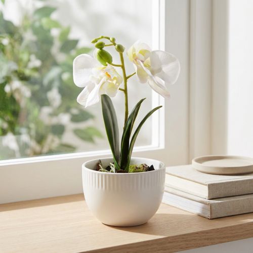 Mini orkideer kunstige hvite orkideer i potte 15cm | Floristik24.no