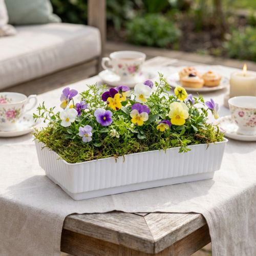 Stikkontaktskål Lara 15cm x 8cm x 4cm 10stk | Floristik24.no