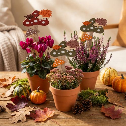 Blomsterpinne Fluesopp dekorasjon Pinnsvin Høstdekorasjon 8cm 12 stk. | Floristik24.no