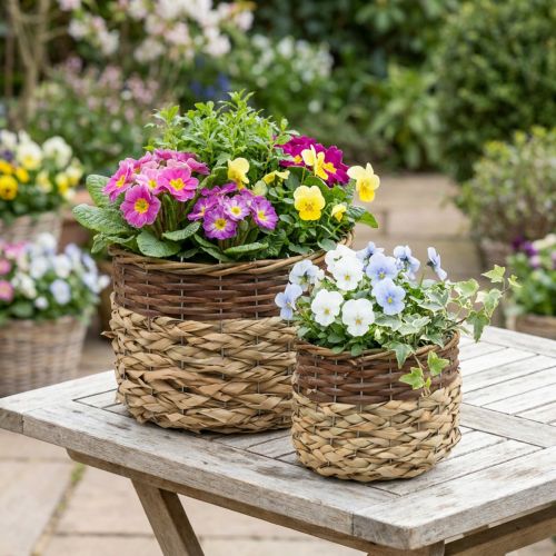 Flettkurv Naturlig Flettplanteskål Naturlig L30/22cm H20/17cm Sett med 2 | Floristik24.no