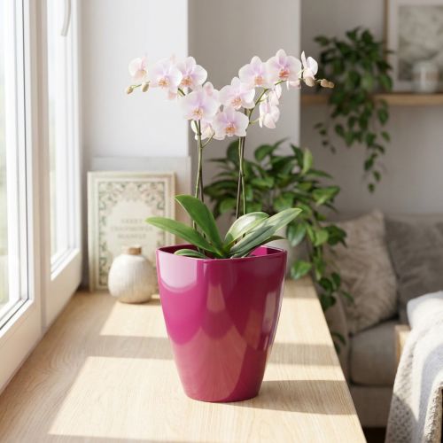 Orkidepotte blank Ø12,5cm kirsebær 1 stk | Floristik24.no