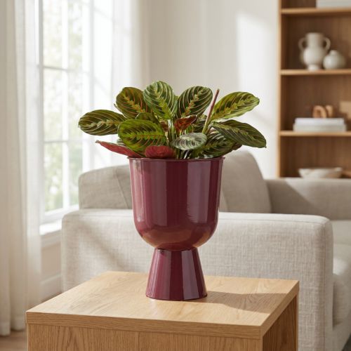 Blomsterpotte, koppformet, moderne stil, dekorativ for ethvert hjem og kontor, 23 cm | Floristik24.no