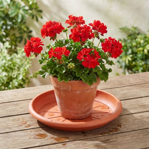 Coaster “Linda” Ø33cm terrakotta | Floristik24.no