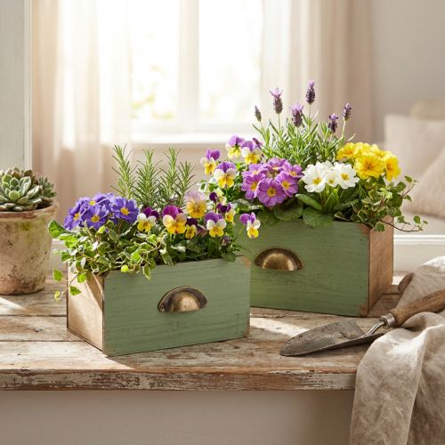 Plantekasse treskuffer dekorasjon 22/18cm sett med 2 stk | Floristik24.no