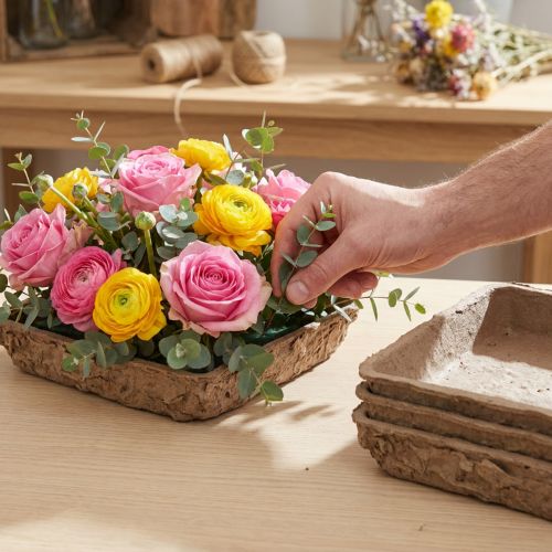 Oasis Biolit Basic Blomsterskum 13x13x2cm 12-delers sett Blomsterdekorasjon DIY | Floristik24.no