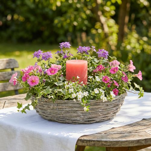 Pileplantekasse, hvit, naturlig utseende, dekorativ ring for kreativ hagedesign, Ø35/30 cm, sett med 2, allsidig | Floristik24.no