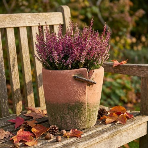 Betong blomsterpotteplanter terrakottapotte Ø18cm H17cm | Floristik24.no