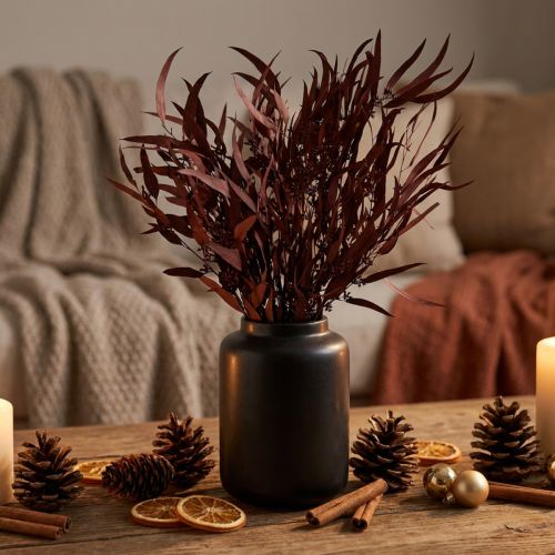 Eucalyptus Konserverte Eucalyptus Grener Rød, Brun 56cm 135g | Floristik24.no