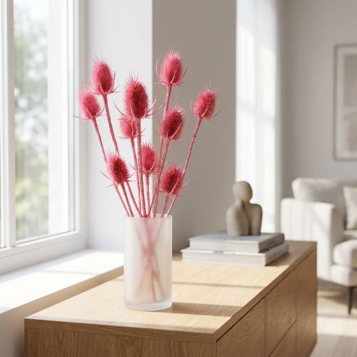 Vill teasel tørket dekorasjon, rosa tistler, 53 cm, 10 hoder | Floristik24.no