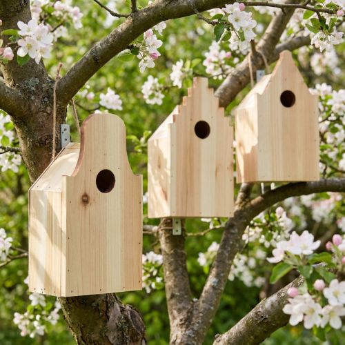 gjenstander Birdhouse Wooden Brod Box Blåmeis Gran H22,5cm 3stk